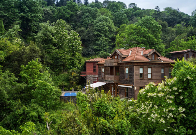 Nef Reserve Gölköy 1